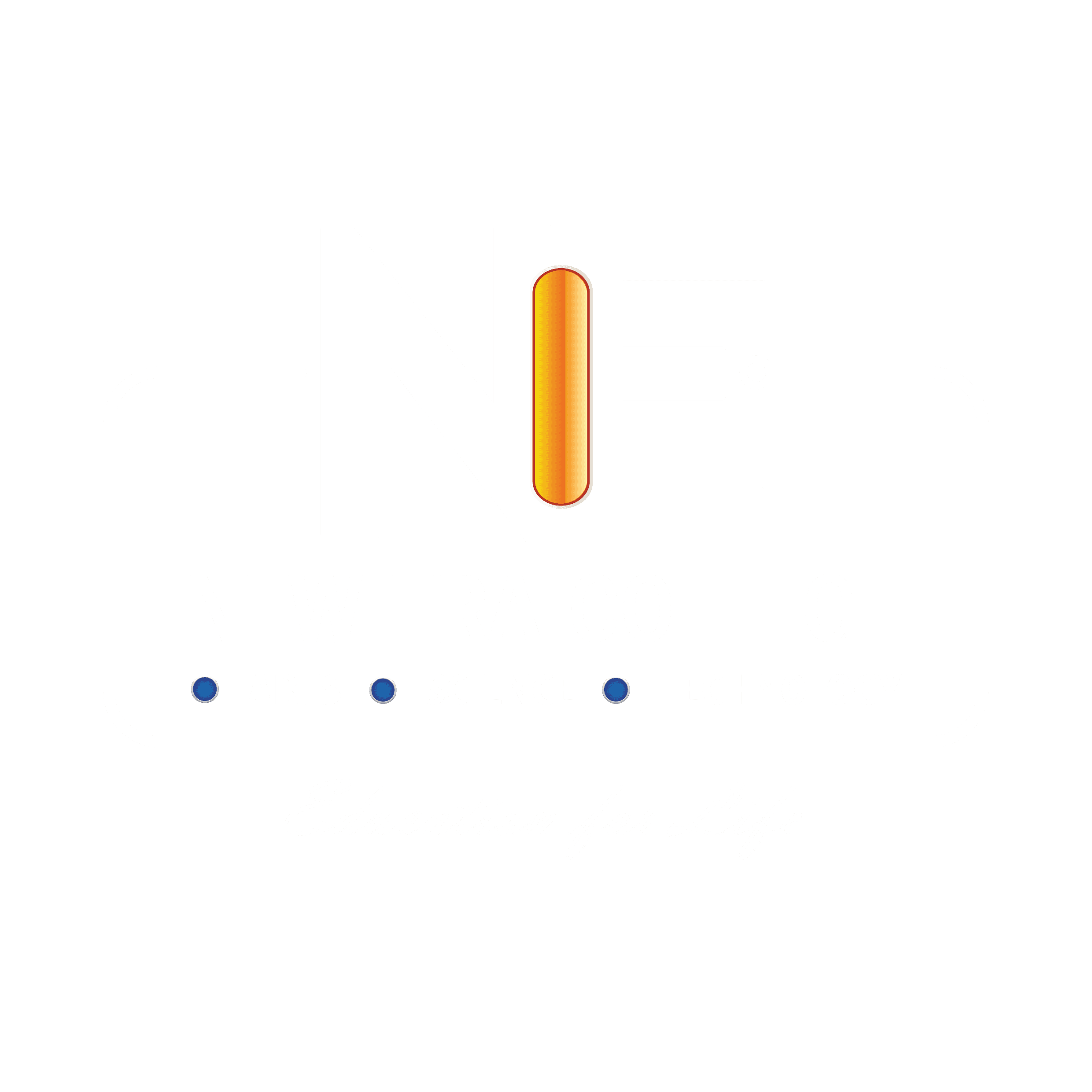 NEC Logbook Logo